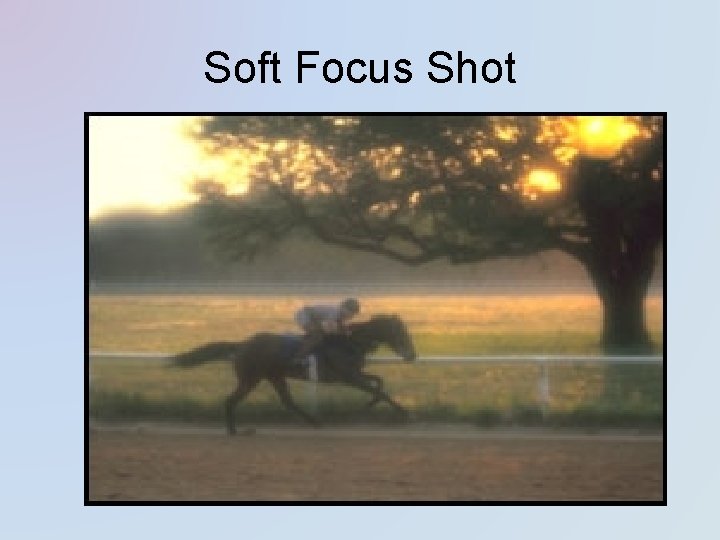 Soft Focus Shot 