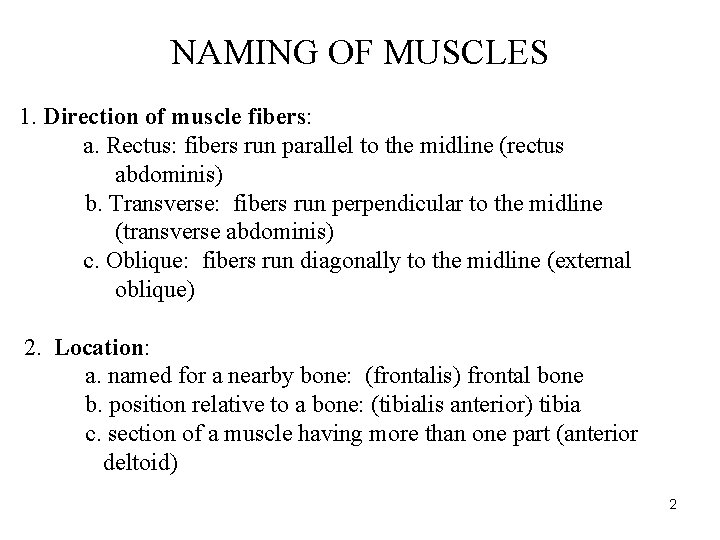 NAMING OF MUSCLES 1. Direction of muscle fibers: a. Rectus: fibers run parallel to NAMING OF MUSCLES 1. Direction of muscle fibers: a. Rectus: fibers run parallel to