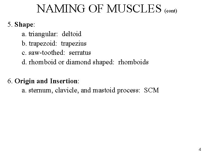 NAMING OF MUSCLES (cont) 5. Shape: a. triangular: deltoid b. trapezoid: trapezius c. saw-toothed: NAMING OF MUSCLES (cont) 5. Shape: a. triangular: deltoid b. trapezoid: trapezius c. saw-toothed: