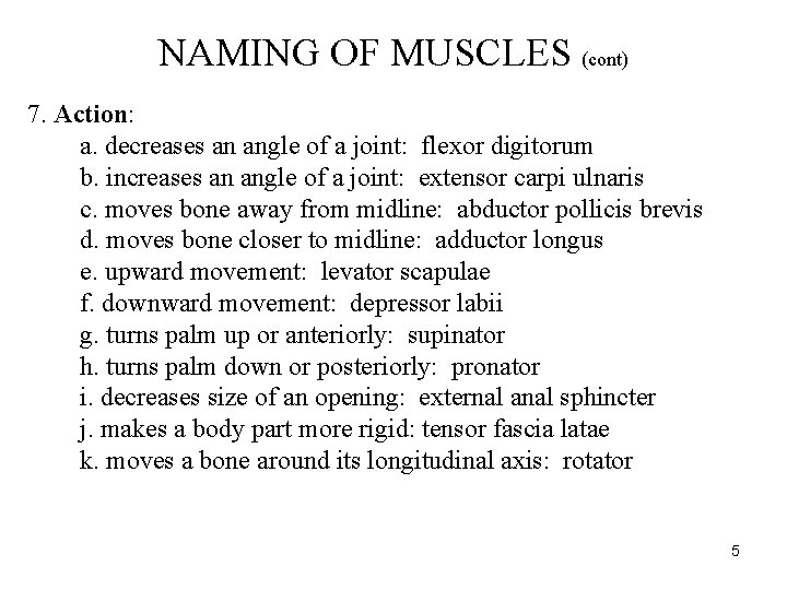 NAMING OF MUSCLES (cont) 7. Action: a. decreases an angle of a joint: flexor NAMING OF MUSCLES (cont) 7. Action: a. decreases an angle of a joint: flexor