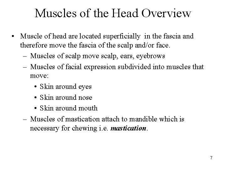 Muscles of the Head Overview • Muscle of head are located superficially in the Muscles of the Head Overview • Muscle of head are located superficially in the
