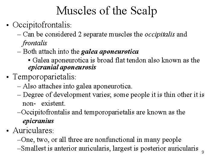 Muscles of the Scalp • Occipitofrontalis: – Can be considered 2 separate muscles the Muscles of the Scalp • Occipitofrontalis: – Can be considered 2 separate muscles the