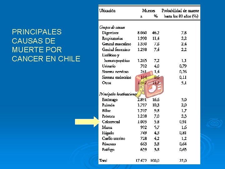 PRINCIPALES CAUSAS DE MUERTE POR CANCER EN CHILE 