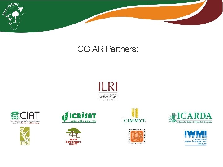 CGIAR Partners: 