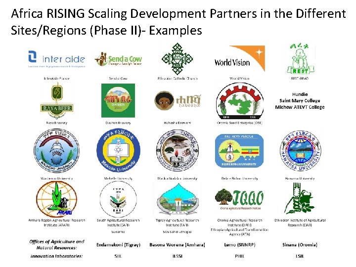 Africa RISING Scaling Development Partners in the Different Sites/Regions (Phase II)- Examples 