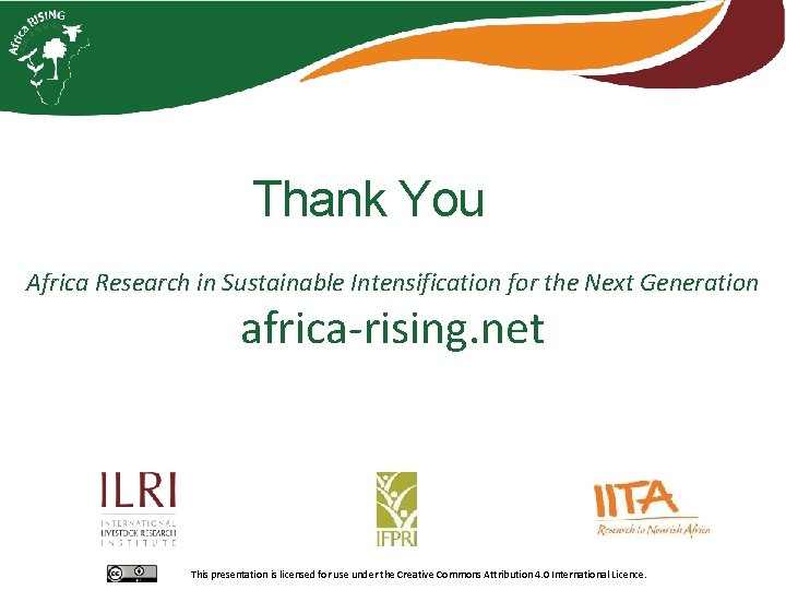 Thank You Africa Research in Sustainable Intensification for the Next Generation africa-rising. net This