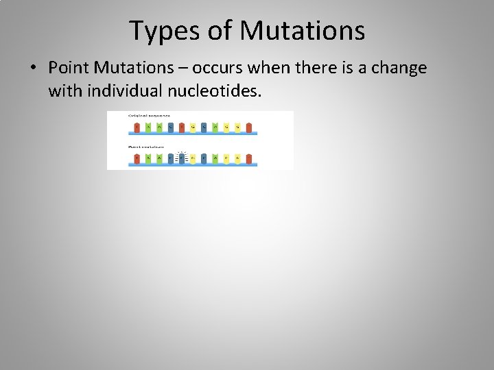 Types of Mutations • Point Mutations – occurs when there is a change with