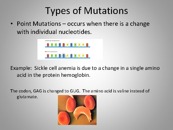 Types of Mutations • Point Mutations – occurs when there is a change with