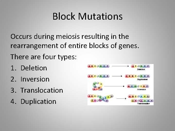 Block Mutations Occurs during meiosis resulting in the rearrangement of entire blocks of genes.