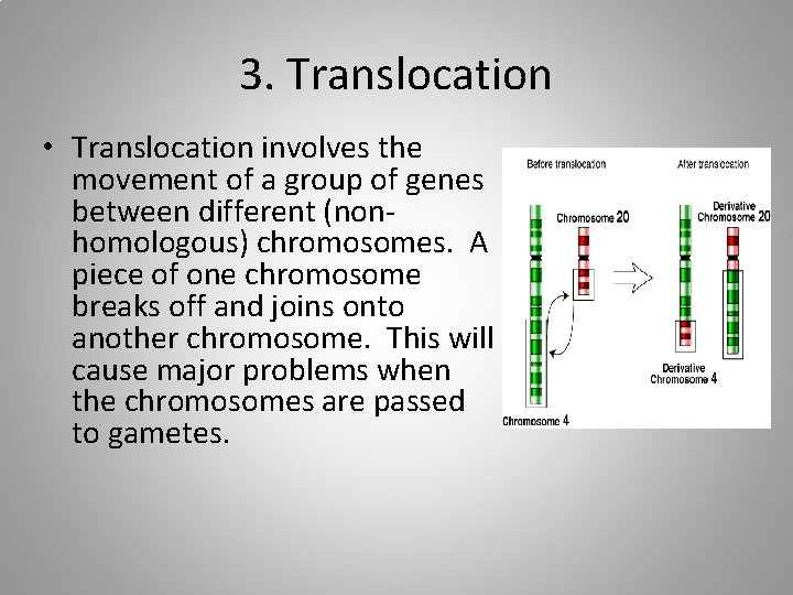 3. Translocation • Translocation involves the movement of a group of genes between different