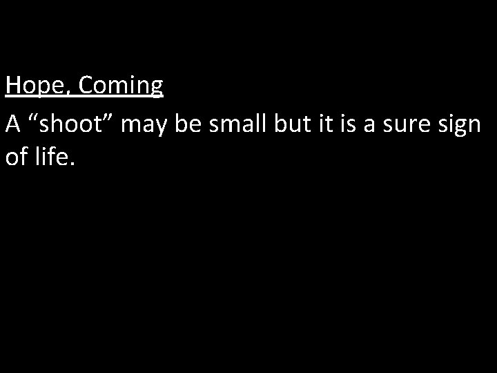 Hope, Coming A “shoot” may be small but it is a sure sign of