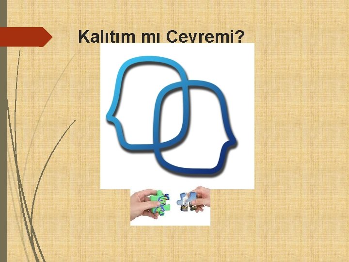 Kalıtım mı Çevremi? 