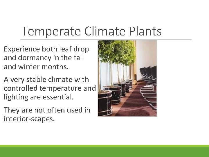 Temperate Climate Plants Experience both leaf drop and dormancy in the fall and winter