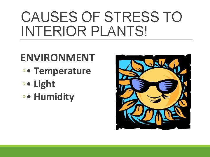 CAUSES OF STRESS TO INTERIOR PLANTS! ENVIRONMENT ◦ • Temperature ◦ • Light ◦