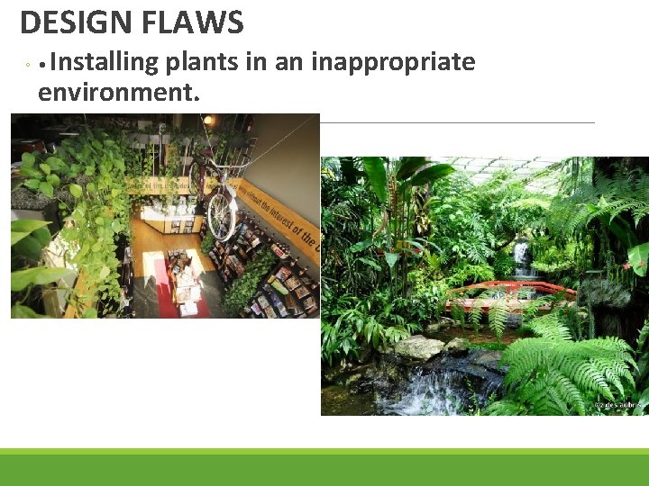 DESIGN FLAWS Installing plants in an inappropriate environment. ◦ • 