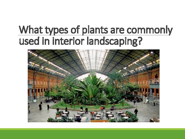 What types of plants are commonly used in interior landscaping? 