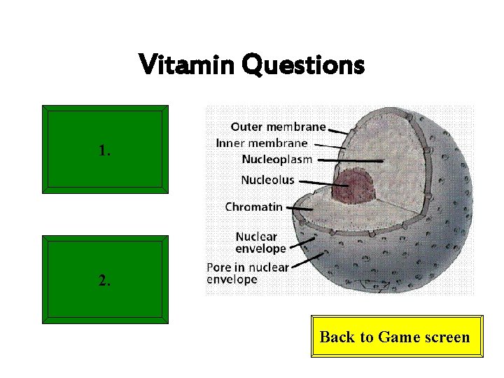 Vitamin Questions 1. 2. Back to Game screen Vitamin Questions 1. 2. Back to Game screen