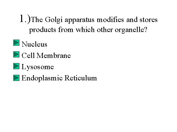 1. )The Golgi apparatus modifies and stores products from which other organelle? • •