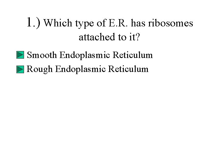 1. ) Which type of E. R. has ribosomes attached to it? • Smooth 1. ) Which type of E. R. has ribosomes attached to it? • Smooth