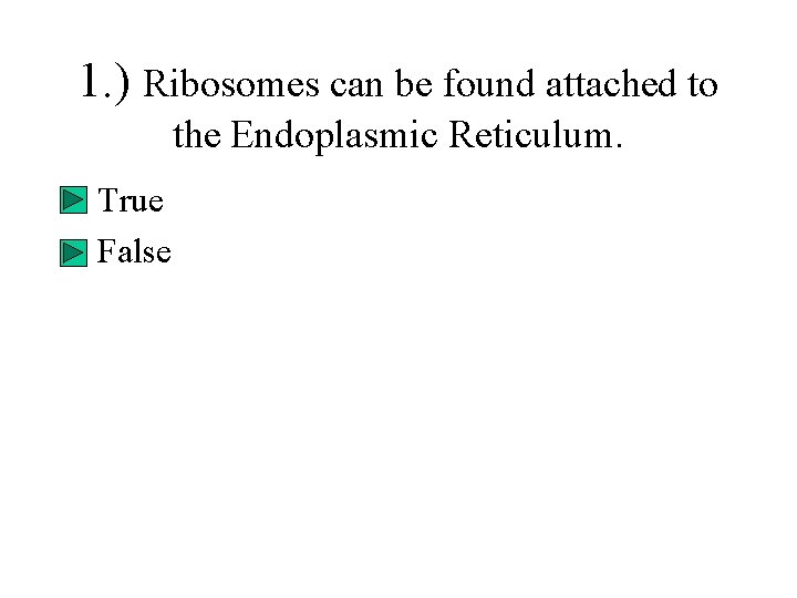 1. ) Ribosomes can be found attached to the Endoplasmic Reticulum. • True • 1. ) Ribosomes can be found attached to the Endoplasmic Reticulum. • True •