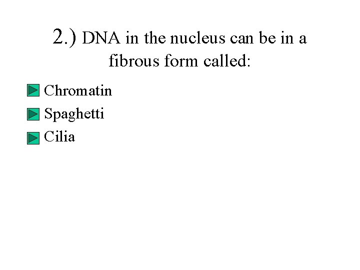 2. ) DNA in the nucleus can be in a fibrous form called: • 2. ) DNA in the nucleus can be in a fibrous form called: •