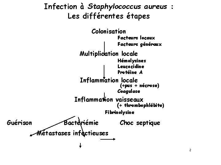 Infection à Staphylococcus aureus : Les différentes étapes Colonisation Facteurs locaux Facteurs généraux Multiplication