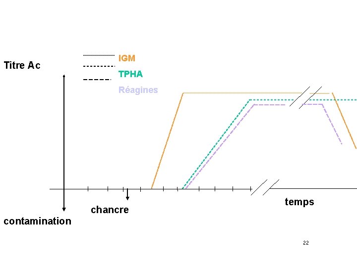 Titre Ac IGM TPHA Réagines chancre temps contamination 22 