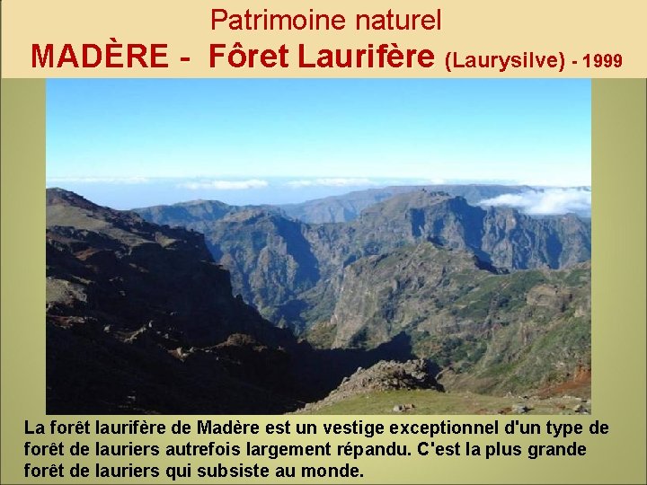 Patrimoine naturel MADÈRE - Fôret Laurifère (Laurysilve) - 1999 La forêt laurifère de Madère