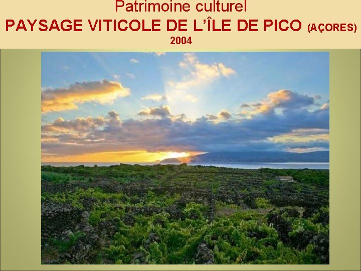 Patrimoine culturel PAYSAGE VITICOLE DE L’ÎLE DE PICO (AÇORES) 2004 