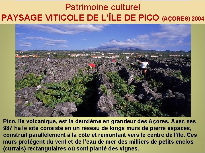 Patrimoine culturel PAYSAGE VITICOLE DE L’ÎLE DE PICO (AÇORES) 2004 Pico, île volcanique, est