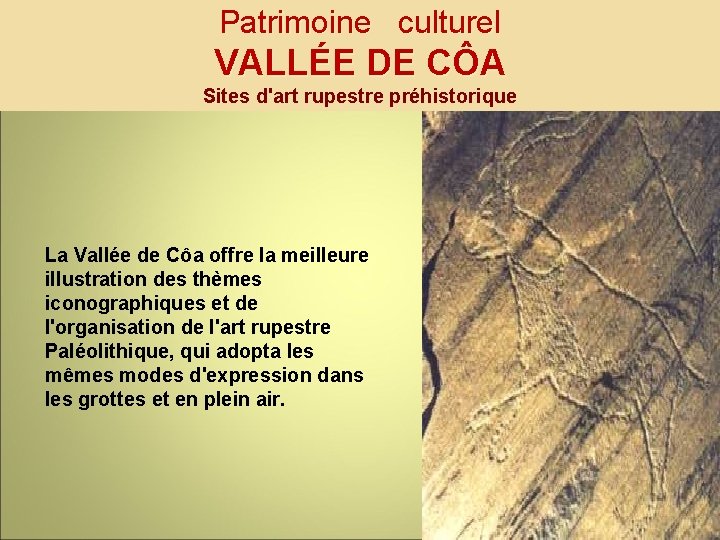 Patrimoine culturel VALLÉE DE CÔA Sites d'art rupestre préhistorique La Vallée de Côa offre