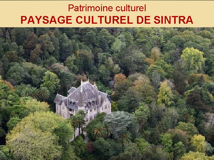 Patrimoine culturel PAYSAGE CULTUREL DE SINTRA 