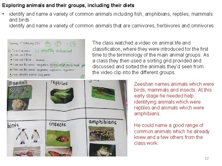 Exploring animals and their groups, including their diets • identify and name a variety