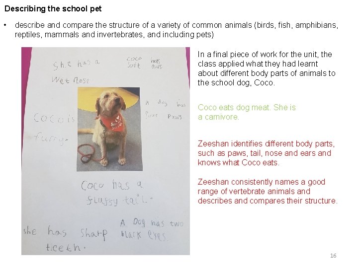 Describing the school pet • describe and compare the structure of a variety of