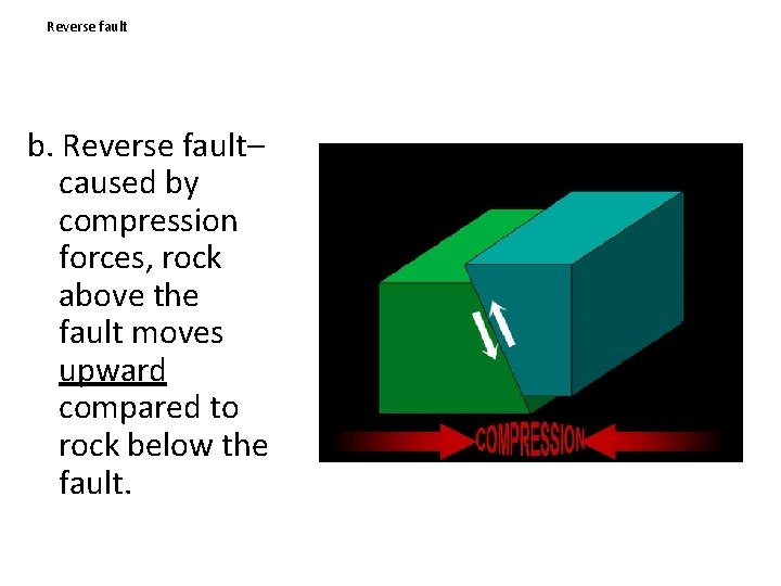Reverse fault b. Reverse fault– caused by compression forces, rock above the fault moves