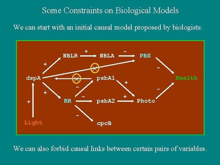 Some Constraints on Biological Models We can start with an initial causal model proposed Some Constraints on Biological Models We can start with an initial causal model proposed