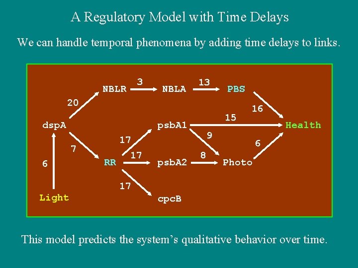 A Regulatory Model with Time Delays We can handle temporal phenomena by adding time A Regulatory Model with Time Delays We can handle temporal phenomena by adding time
