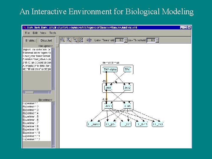 An Interactive Environment for Biological Modeling An Interactive Environment for Biological Modeling