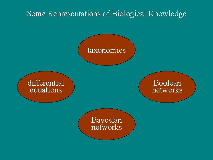 Some Representations of Biological Knowledge taxonomies differential equations Boolean networks Bayesian networks Some Representations of Biological Knowledge taxonomies differential equations Boolean networks Bayesian networks