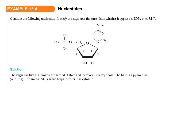 EXAMPLE 15. 4 Nucleotides Consider the following nucleotide. Identify the sugar and the base.