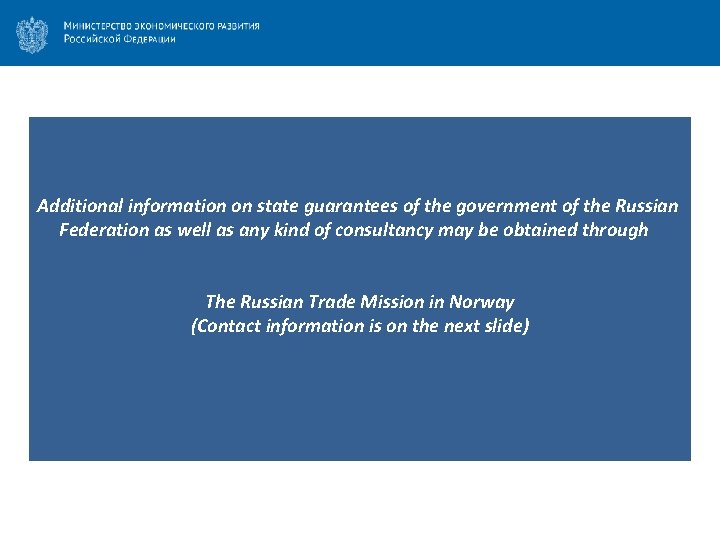 Additional information on state guarantees of the government of the Russian Federation as well