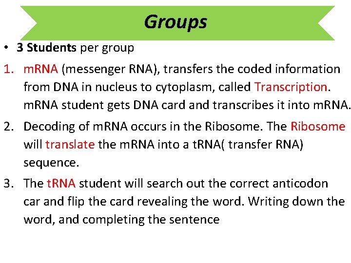 Groups • 3 Students per group 1. m. RNA (messenger RNA), transfers the coded