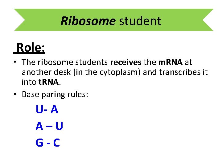 Ribosome student Role: • The ribosome students receives the m. RNA at another desk
