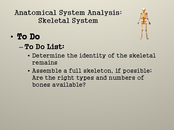 Anatomical System Analysis: Skeletal System • To Do – To Do List: • Determine