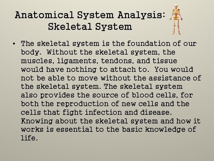 Anatomical System Analysis: Skeletal System • The skeletal system is the foundation of our