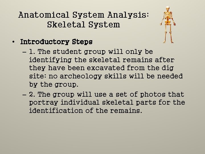 Anatomical System Analysis: Skeletal System • Introductory Steps – 1. The student group will