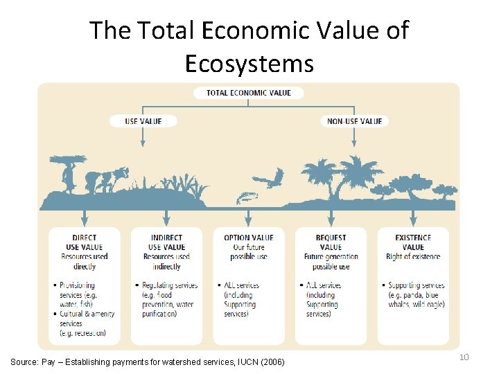 The Total Economic Value of Ecosystems Source: Pay – Establishing payments for watershed services,