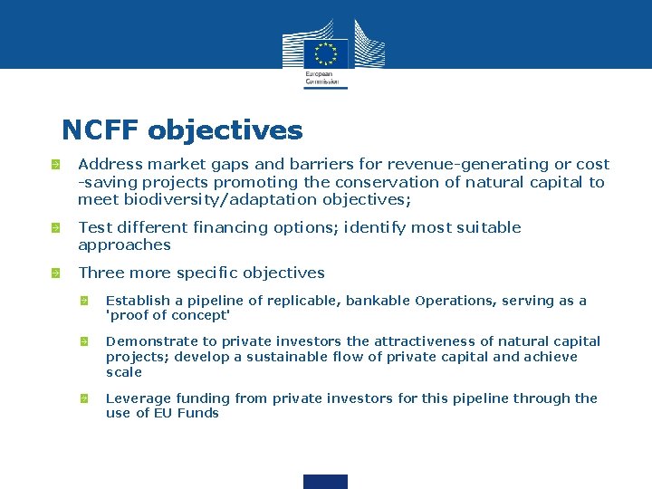 NCFF objectives Address market gaps and barriers for revenue-generating or cost -saving projects promoting