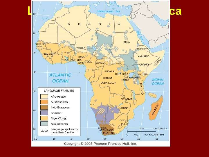 Language Families of Africa Fig. 5 -14: The 1, 000 or more languages of