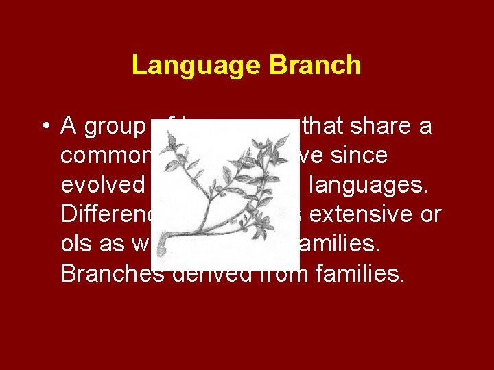 Language Branch • A group of languages that share a common origin but have